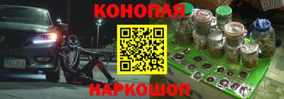 сатива Гусиноозёрск