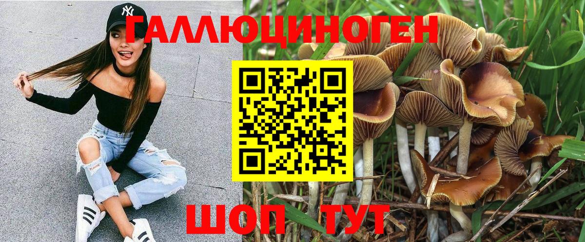купить  сайты  Галлюциногенные грибы GOLDEN TEACHER  Новороссийск  Вход с VPN  Псилоцибиновые грибы Magic Shrooms 